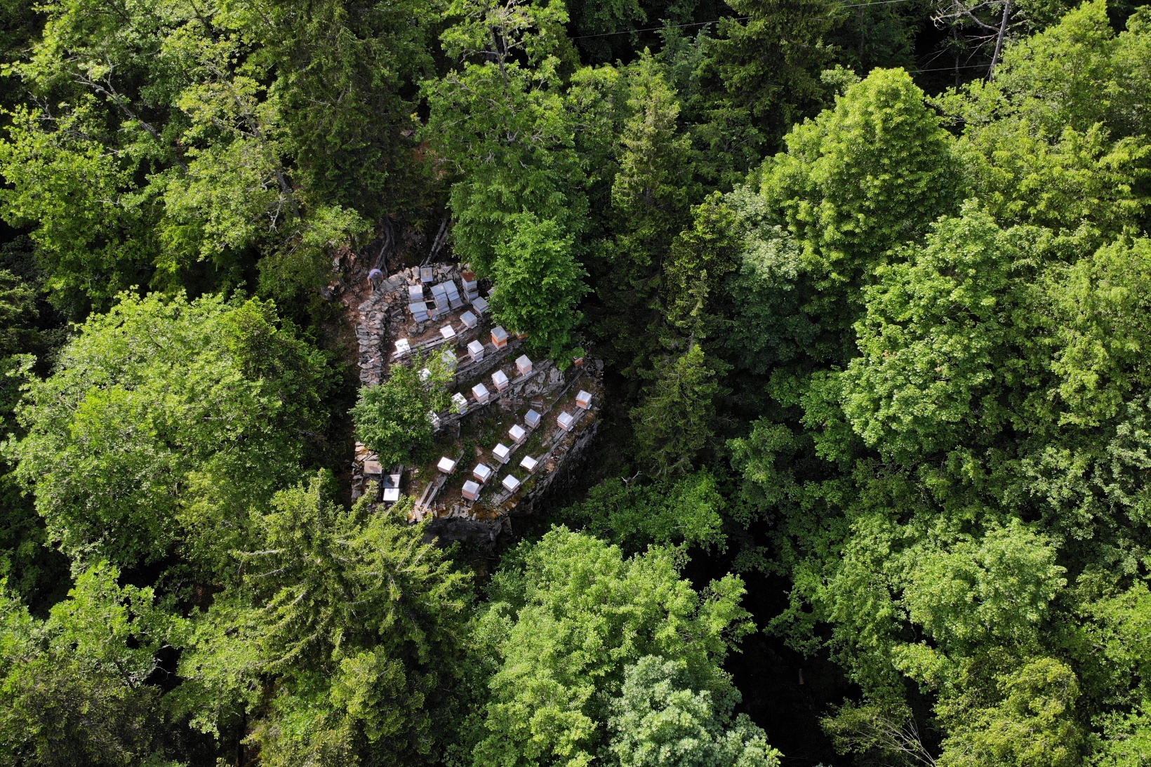 Asırlardır kayalar üzerinde bal üretiyorlar 3