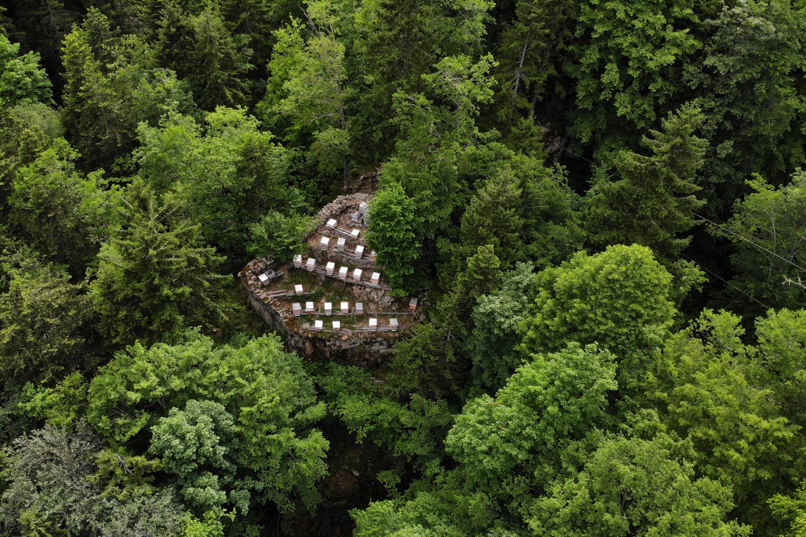 Asırlardır kayalar üzerinde bal üretiyorlar 13