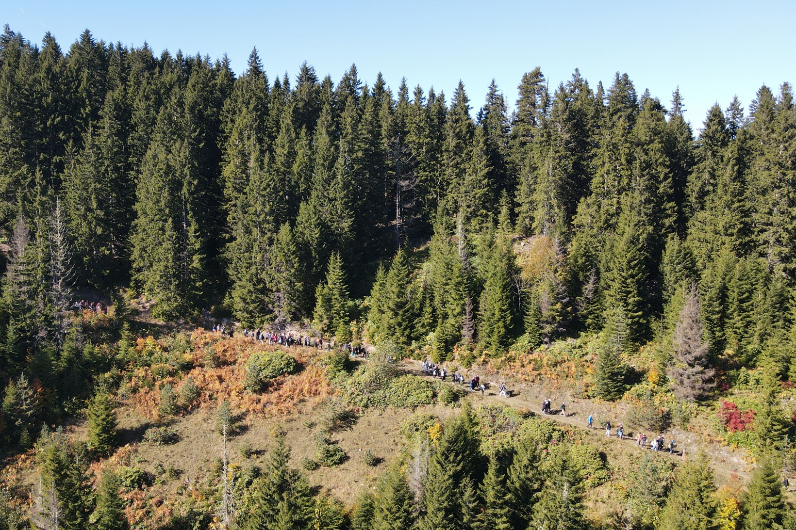 Eşsiz manzarayı görmek için canlı ağaç müzesine akın ettiler 23