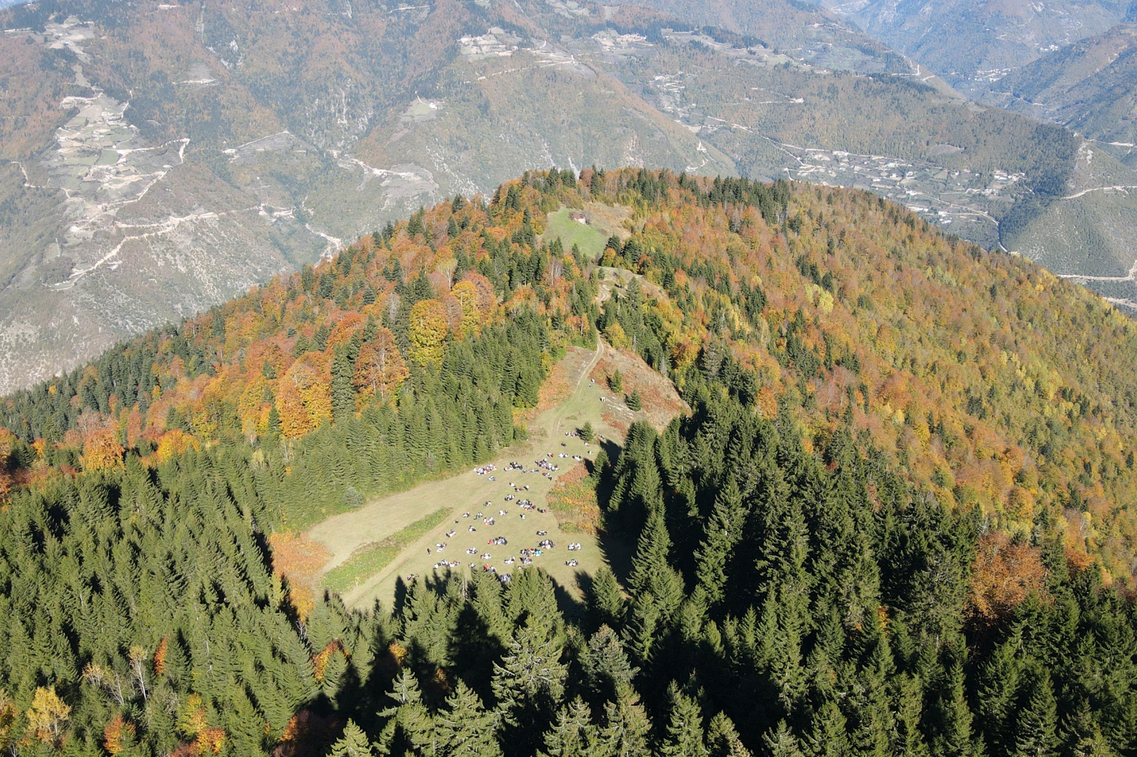 Eşsiz manzarayı görmek için canlı ağaç müzesine akın ettiler 41