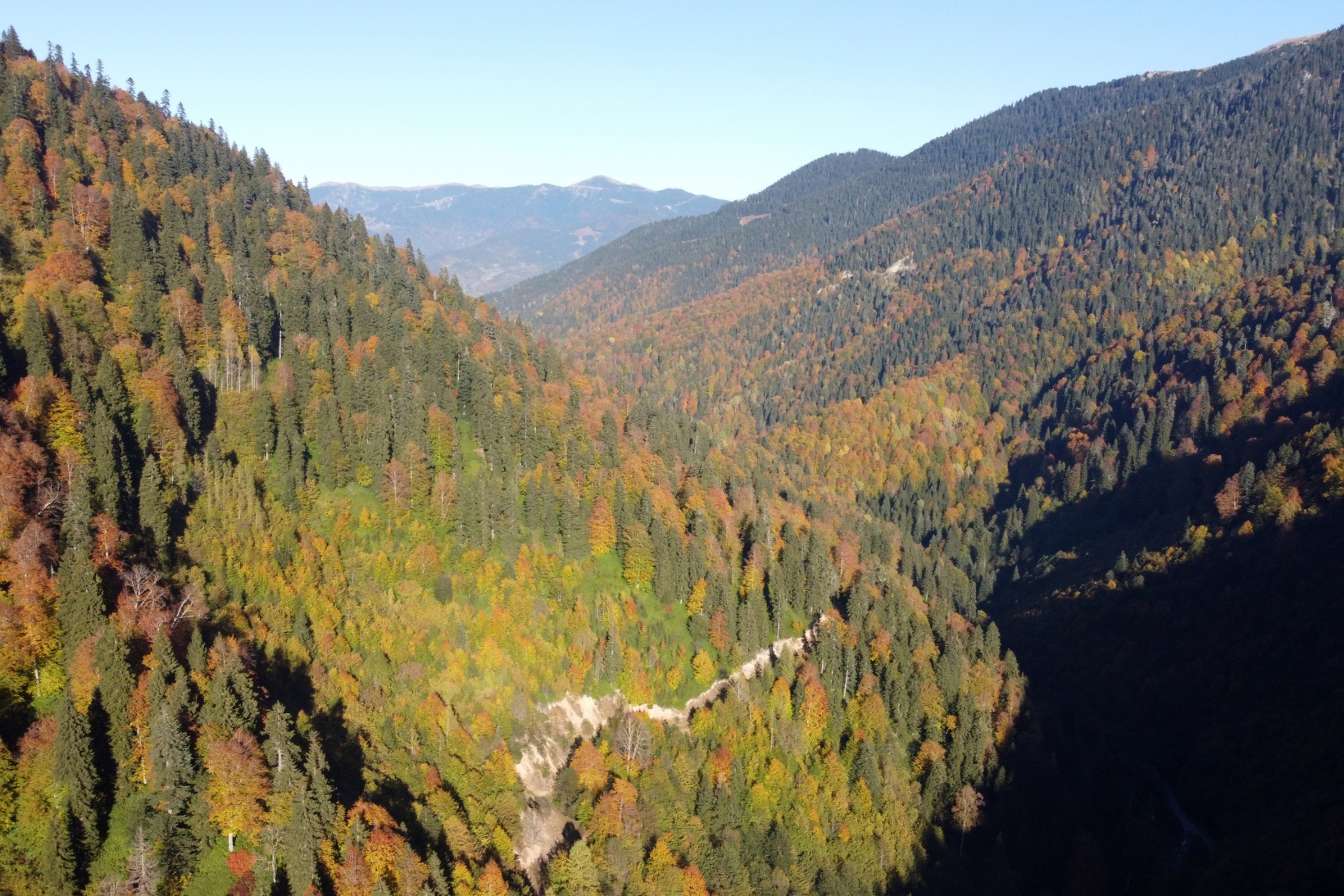 Eşsiz manzarayı görmek için canlı ağaç müzesine akın ettiler 17