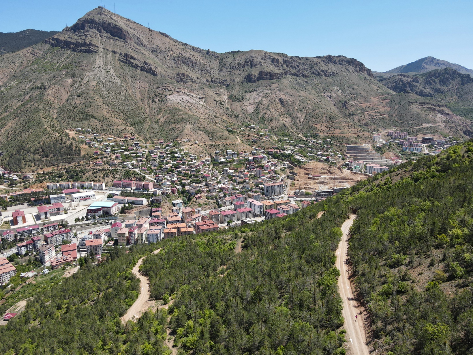 Türkiye Dağ Koşusu Şampiyonası Gümüşhane etabı sona erdi 29