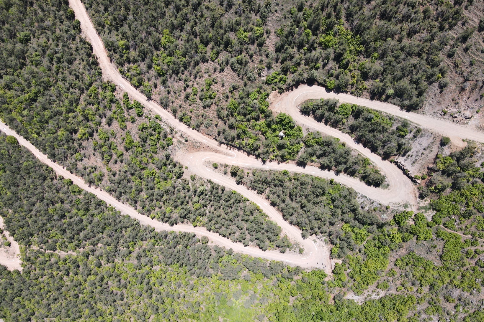 Türkiye Dağ Koşusu Şampiyonası Gümüşhane etabı sona erdi 30