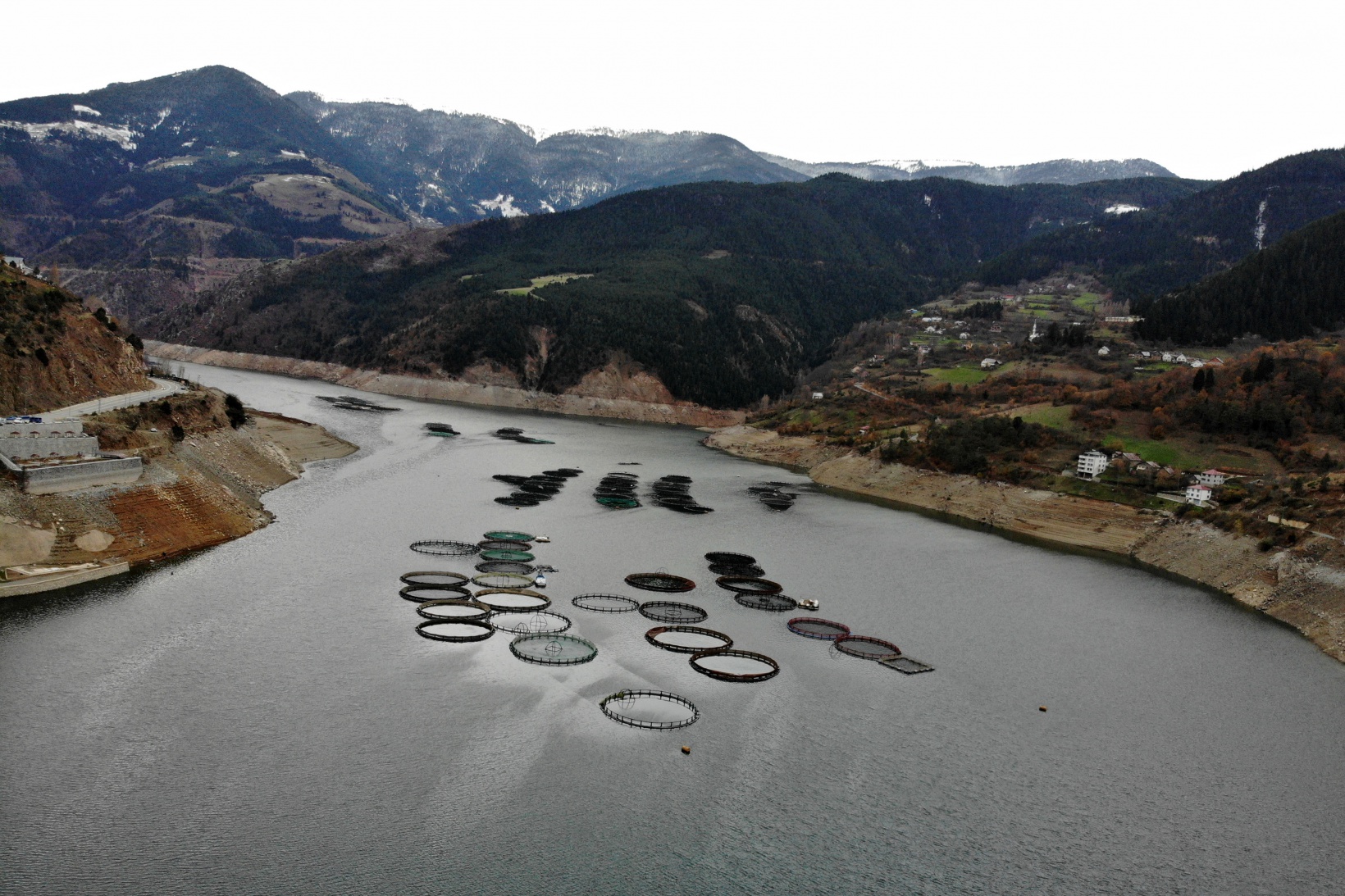 Karlı dağların arasından dünyaya balık ihracatı 19