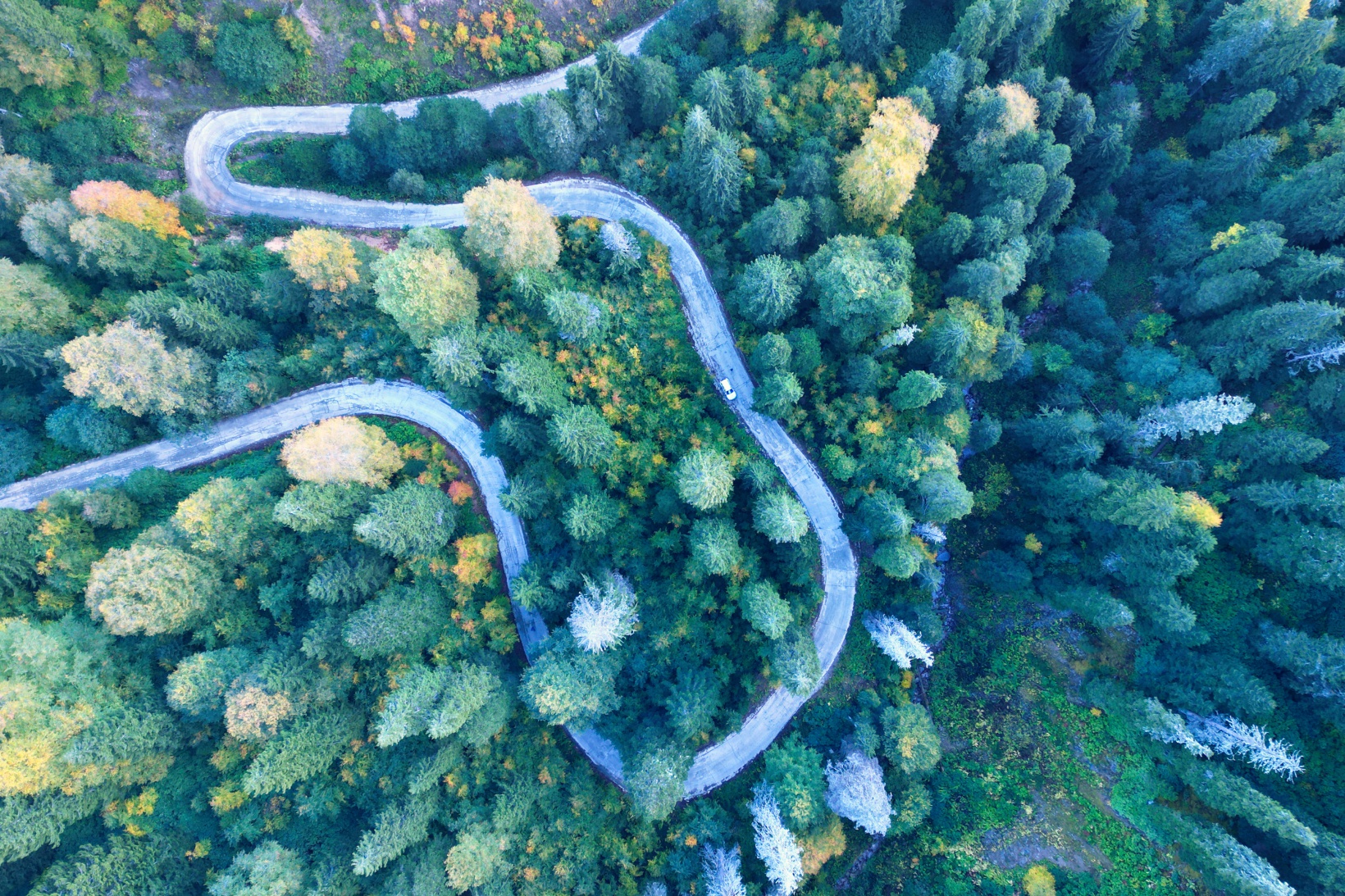 Doğa harikası Örümcek Ormanlarında renk cümbüşü başladı 41