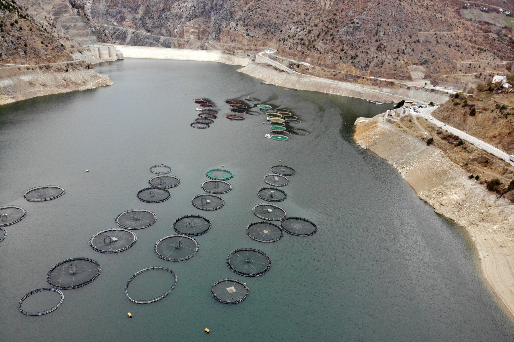 Karlı dağların arasından dünyaya balık ihracatı 30