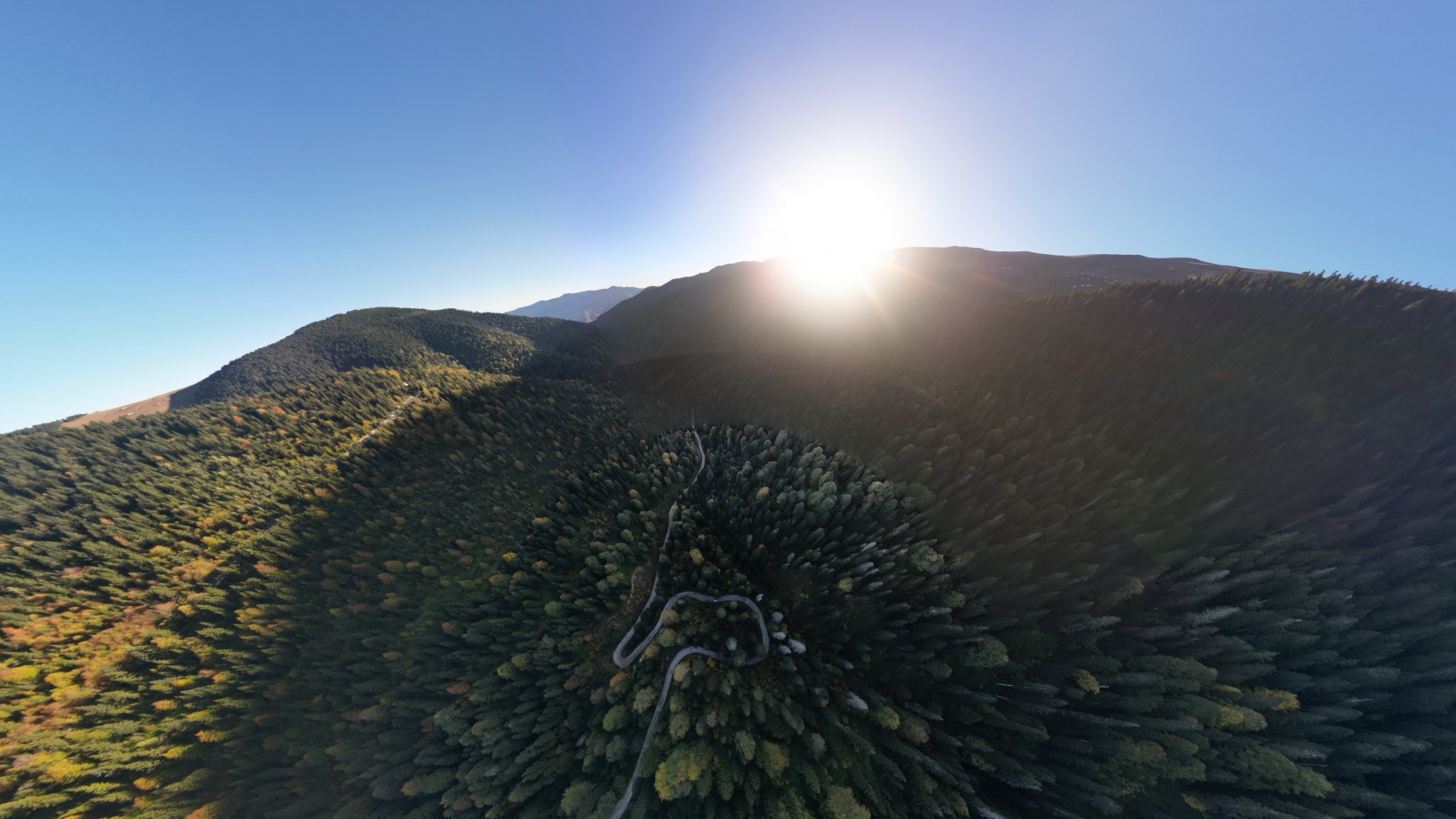 Doğa harikası Örümcek Ormanlarında renk cümbüşü başladı 31