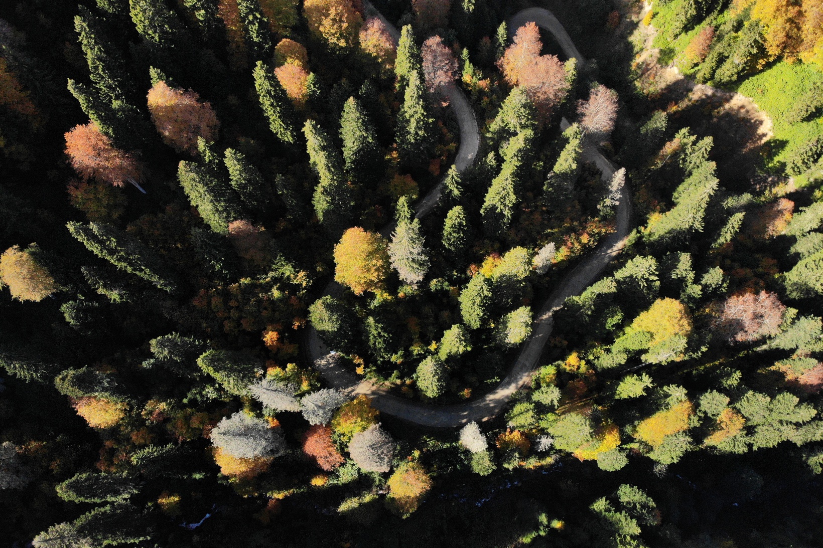 Eşsiz manzarayı görmek için canlı ağaç müzesine akın ettiler 35