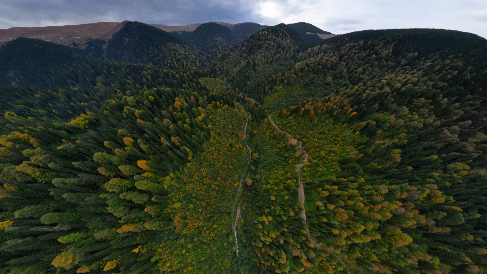 Doğa harikası Örümcek Ormanlarında renk cümbüşü başladı 35