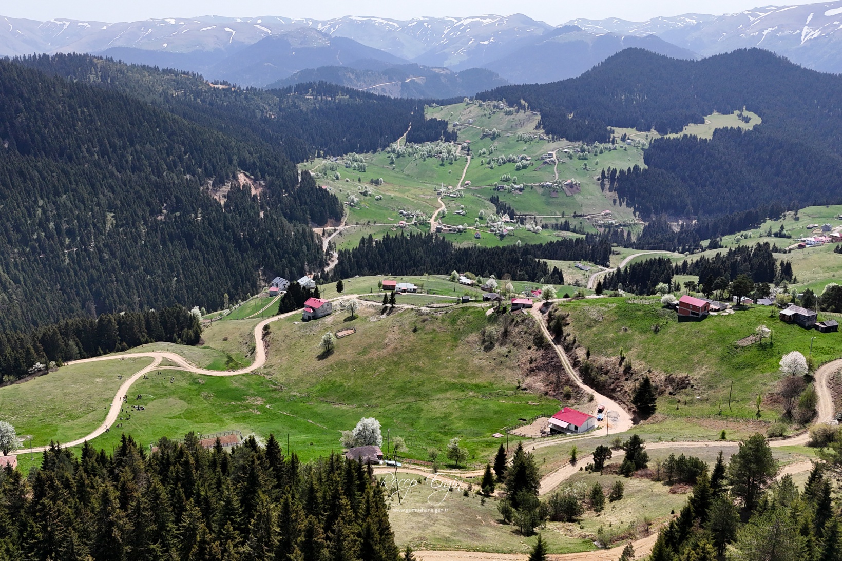 Gümüşhane'de mavi sümbüller arasında doğa yürüyüşü 12