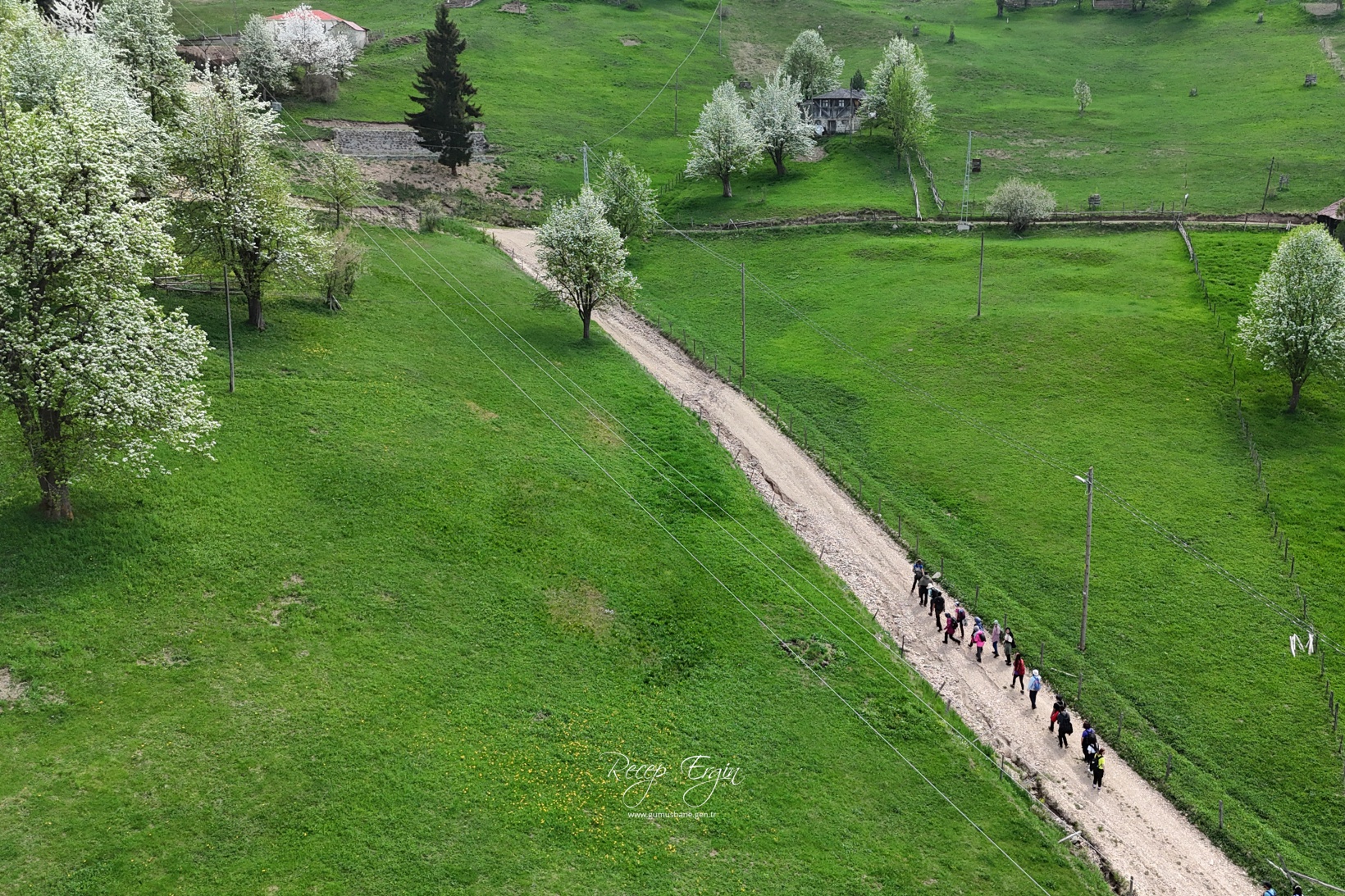 Gümüşhane'de mavi sümbüller arasında doğa yürüyüşü 20
