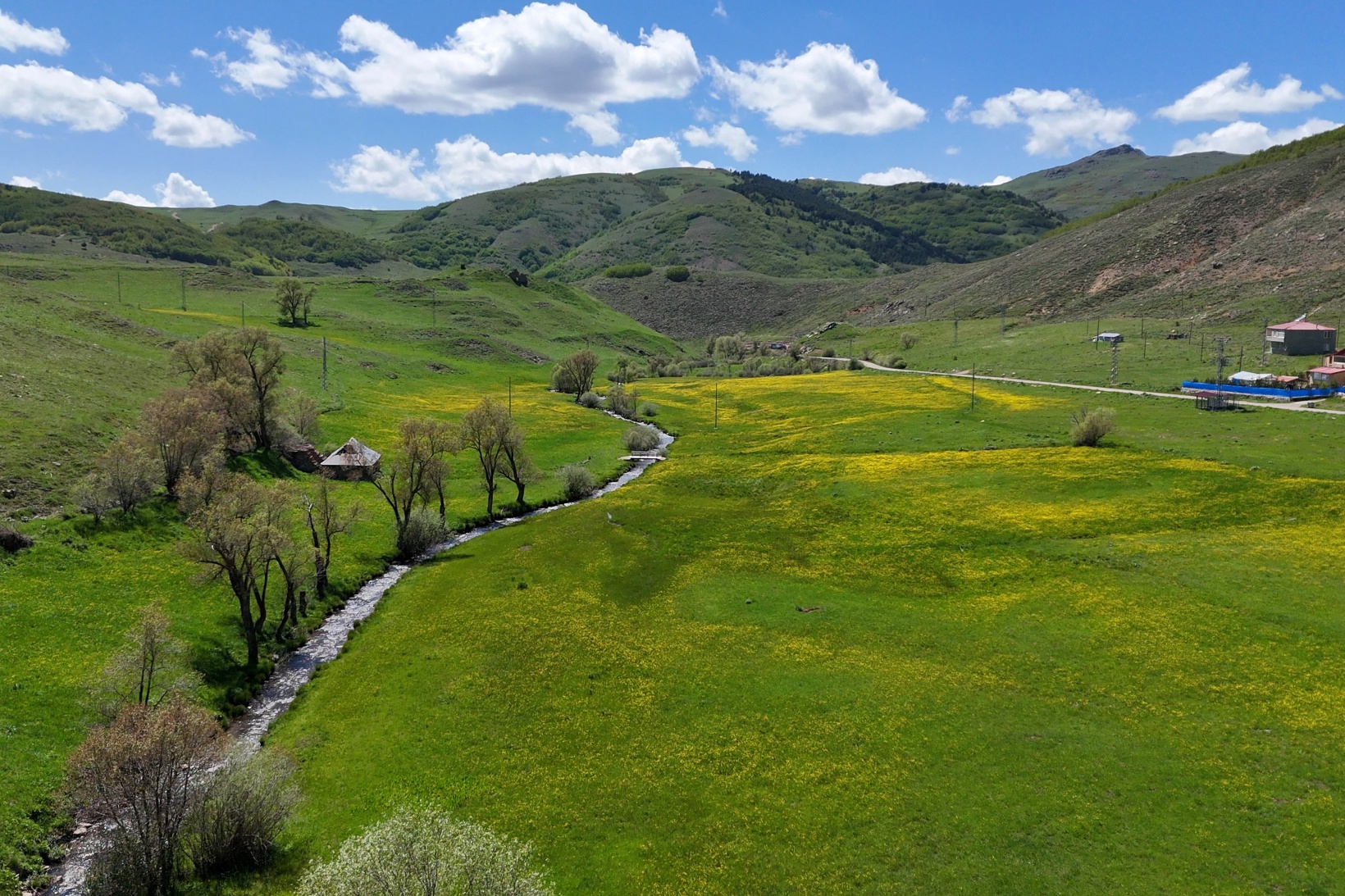 Sarıçiçek Köyü'nde 20 günlük doğa şöleni başladı 3