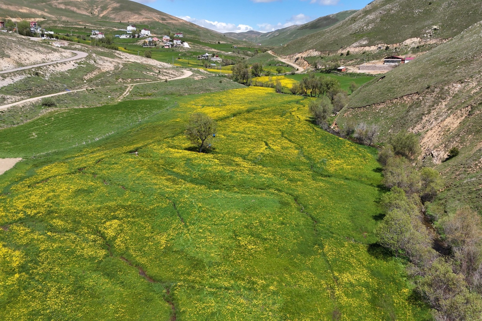 Sarıçiçek Köyü'nde 20 günlük doğa şöleni başladı 15