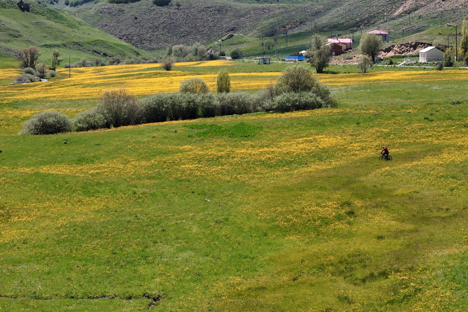 Sarıçiçek Köyü'nde 20 günlük doğa şöleni başladı 6