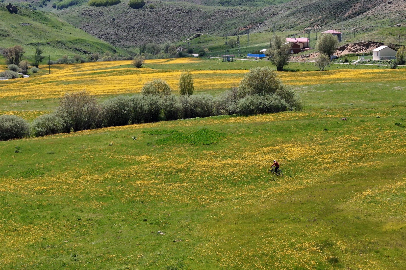 Sarıçiçek Köyü'nde 20 günlük doğa şöleni başladı 11