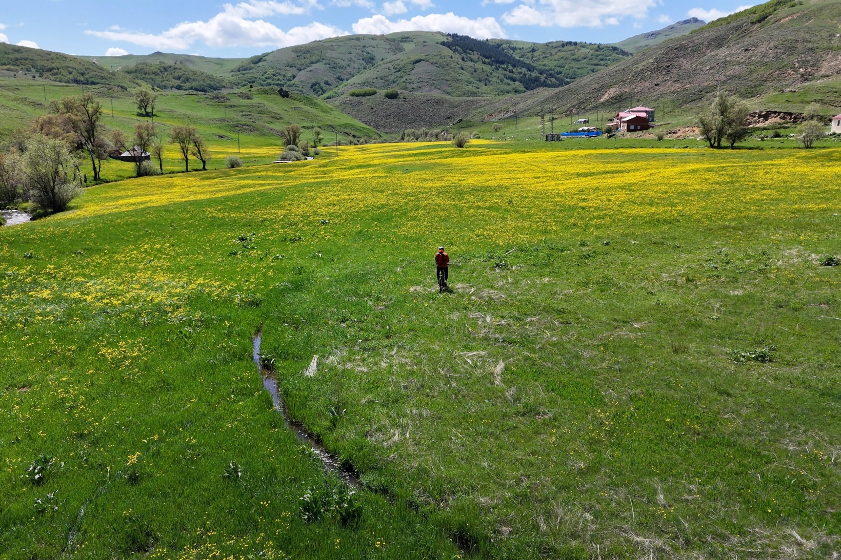Sarıçiçek Köyü'nde 20 günlük doğa şöleni başladı 18