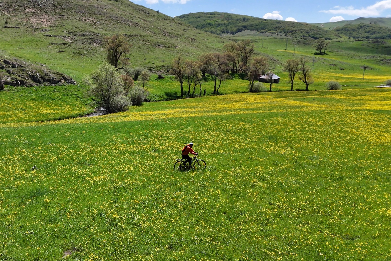 Sarıçiçek Köyü'nde 20 günlük doğa şöleni başladı 12