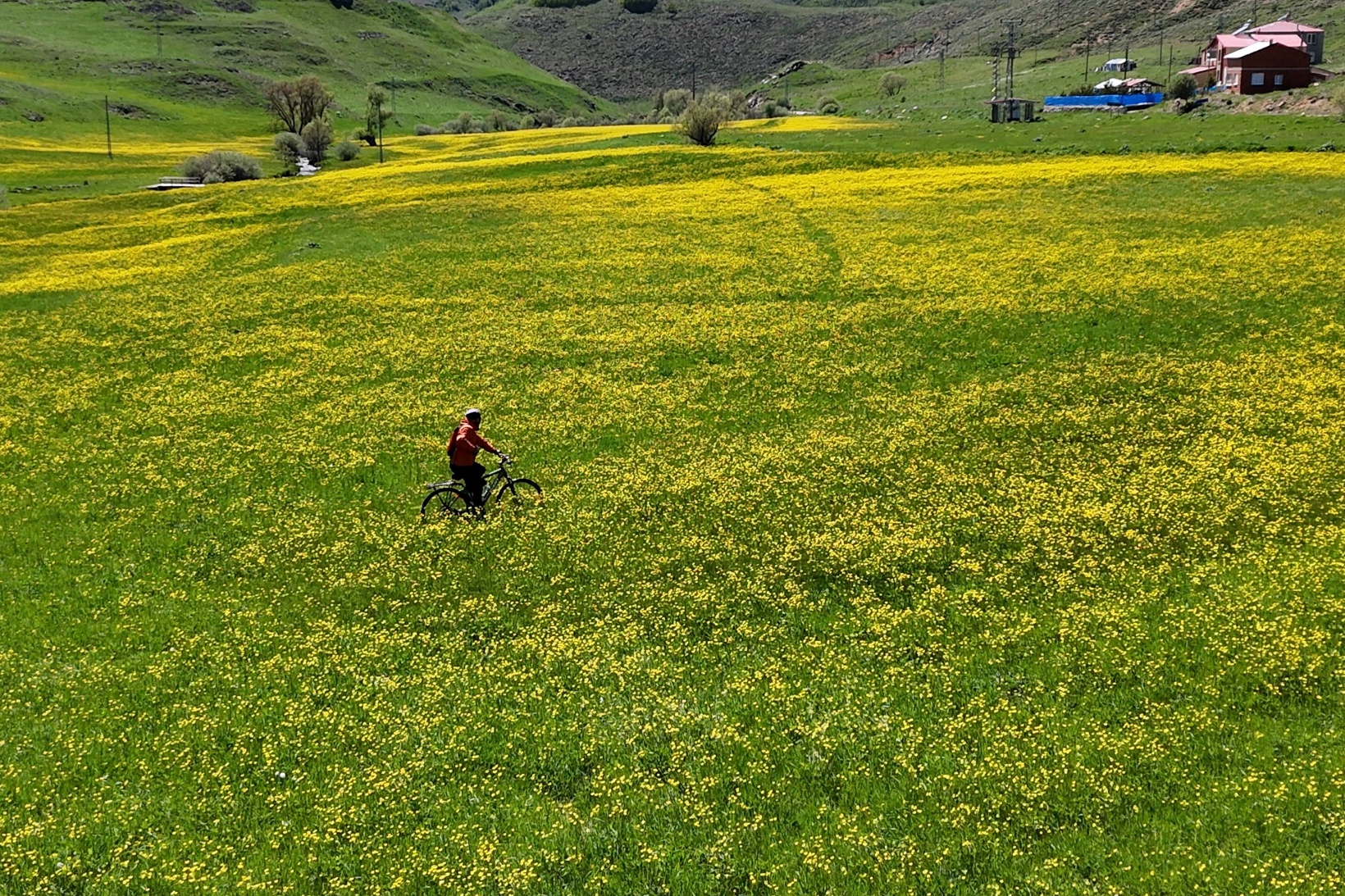 Sarıçiçek Köyü'nde 20 günlük doğa şöleni başladı 10