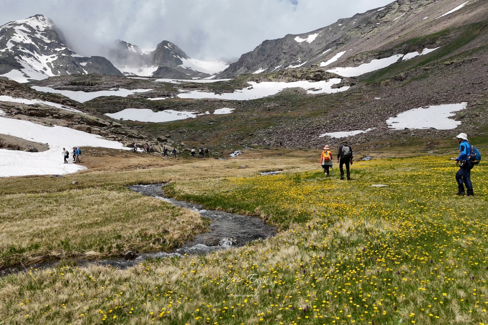 Artabel Gölleri'nde baharın renk cümbüşü başladı 55
