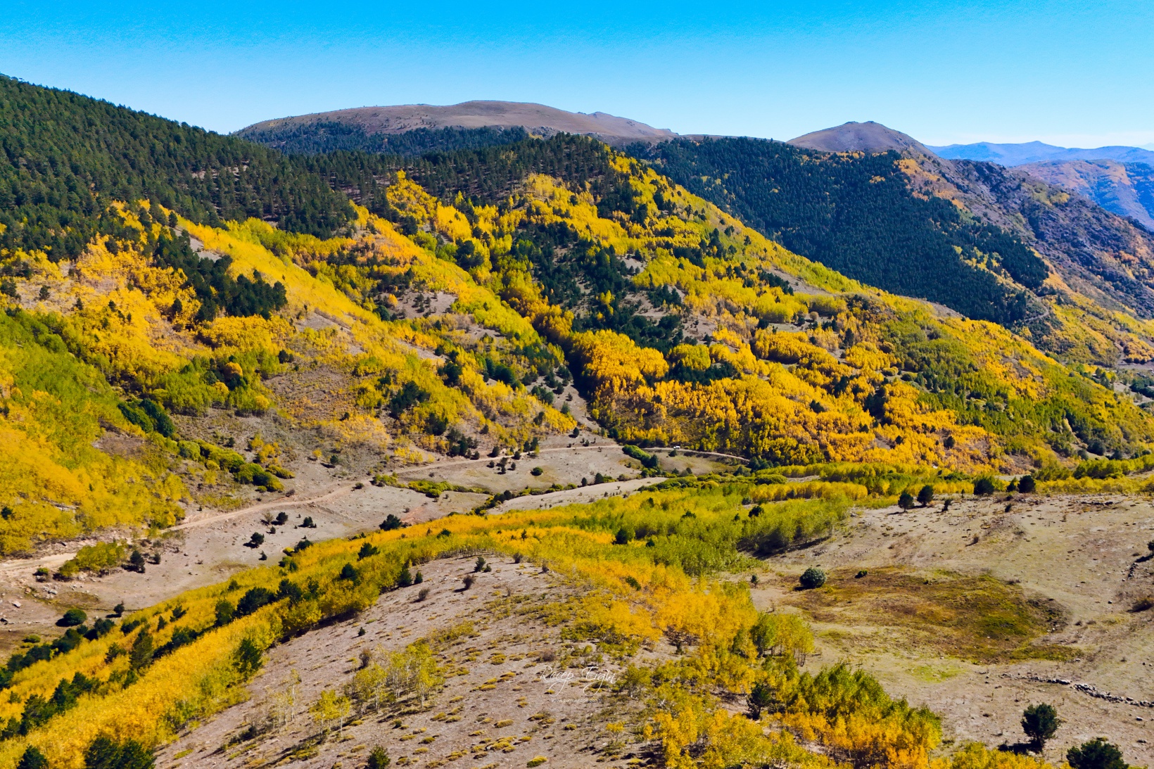 Gümüşhane dağları sonbaharın büyüleyici renkleriyle bezendi 36