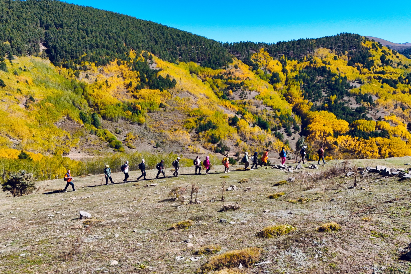 Gümüşhane dağları sonbaharın büyüleyici renkleriyle bezendi 35