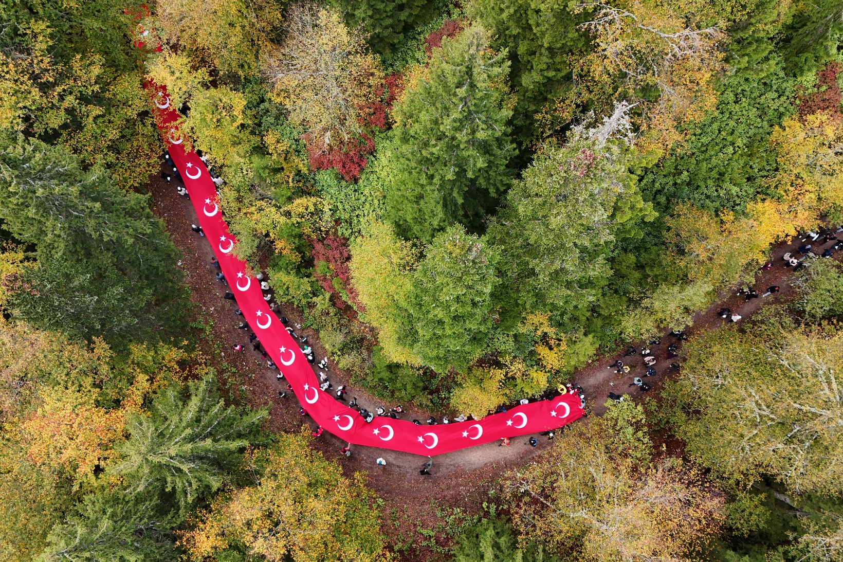 Örümcek Ormanlarında "Ormanlar İçin El Ele" etkinliği yapıldı 37