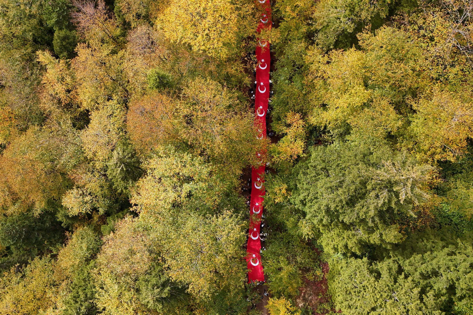 Örümcek Ormanlarında "Ormanlar İçin El Ele" etkinliği yapıldı 39