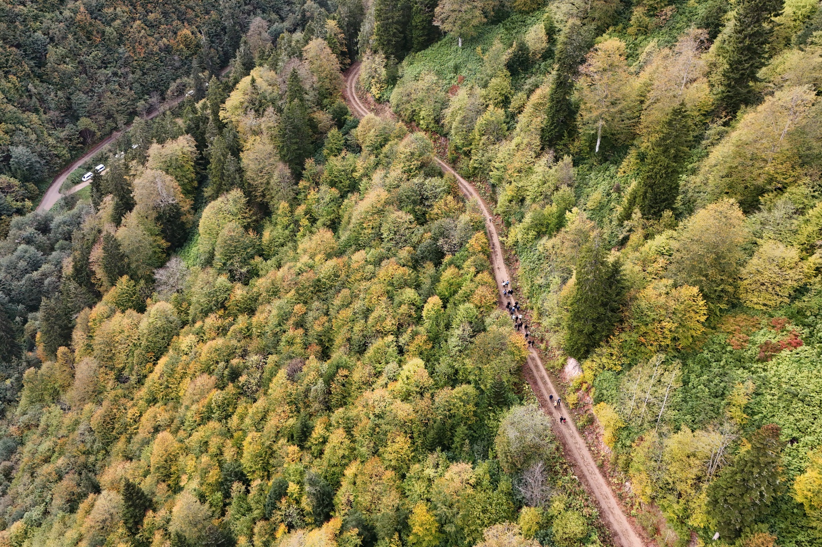 Örümcek Ormanlarında "Ormanlar İçin El Ele" etkinliği yapıldı 41