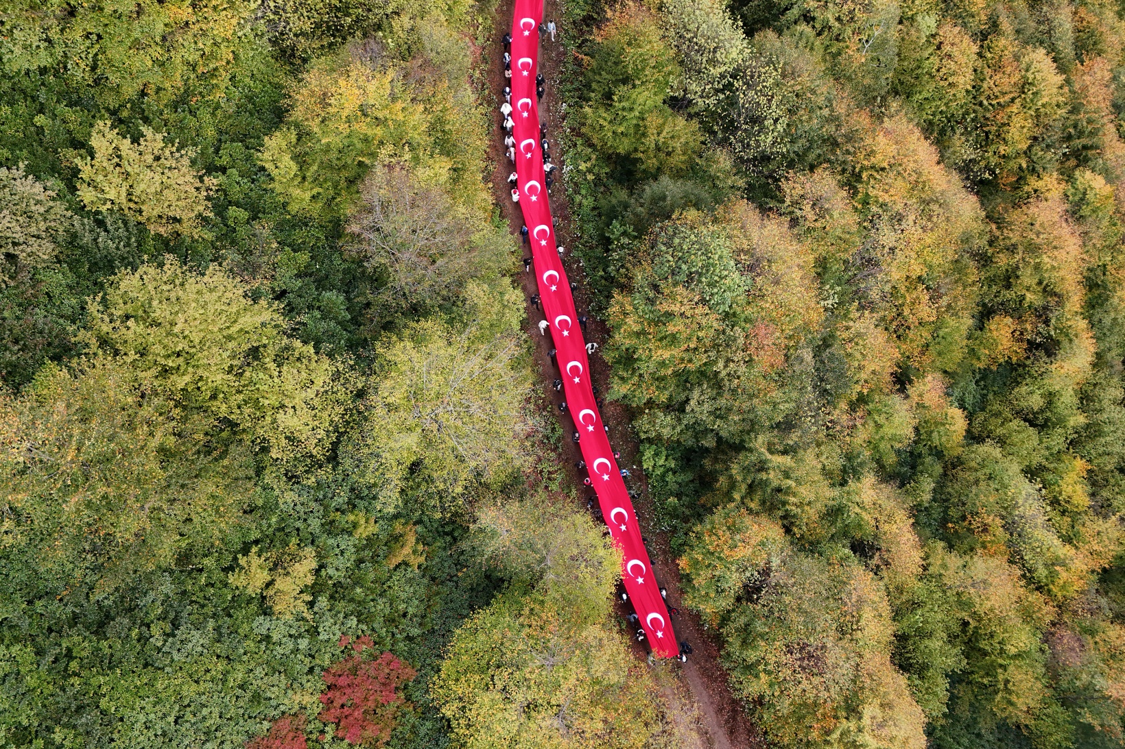 Örümcek Ormanlarında "Ormanlar İçin El Ele" etkinliği yapıldı 35