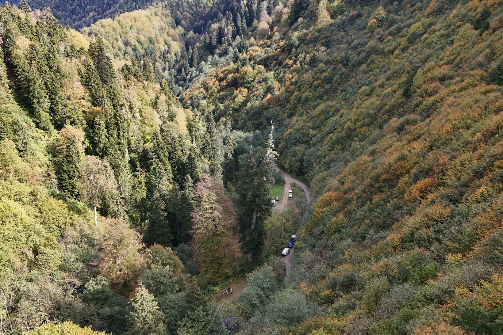 Örümcek Ormanlarında "Ormanlar İçin El Ele" etkinliği yapıldı 32