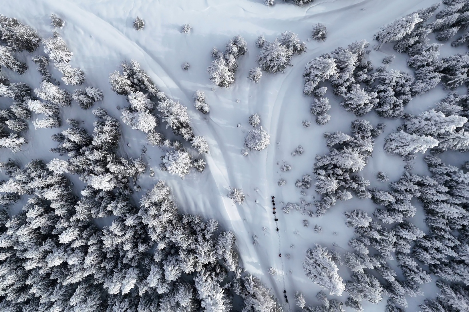 Gümüşhane'nin zirvelerinde kutupları aratmayan yürüyüş 43