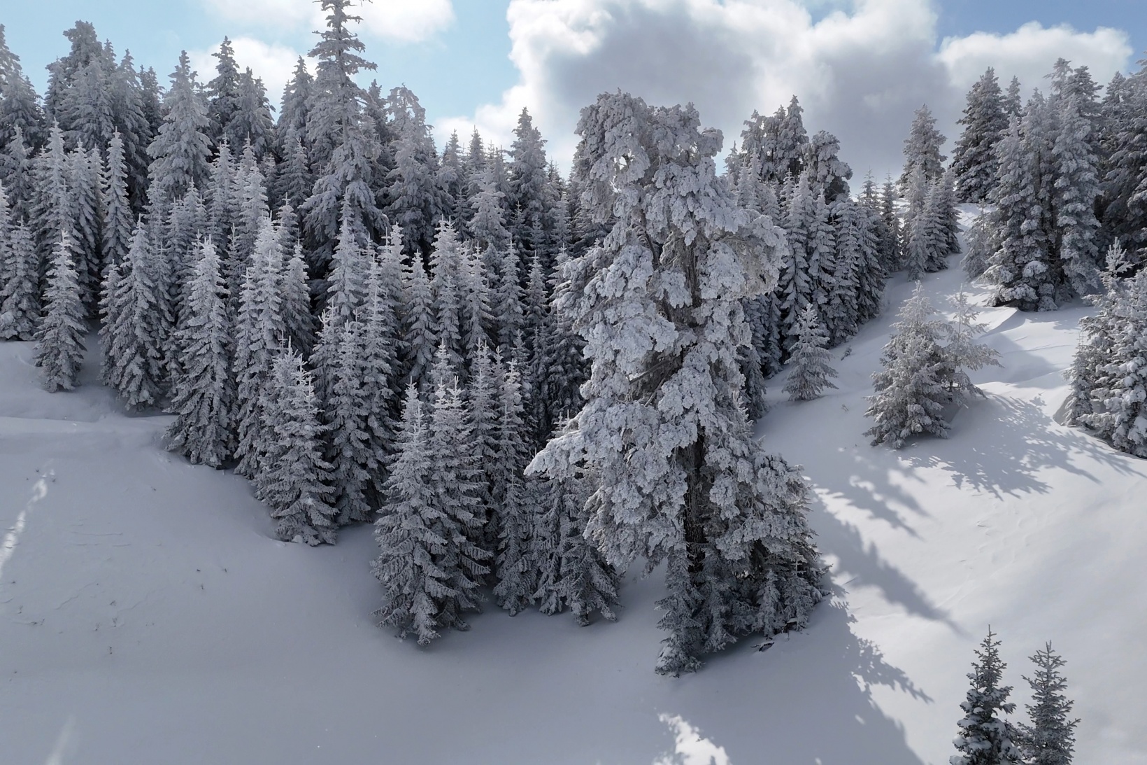 Gümüşhane'nin zirvelerinde kutupları aratmayan yürüyüş 40