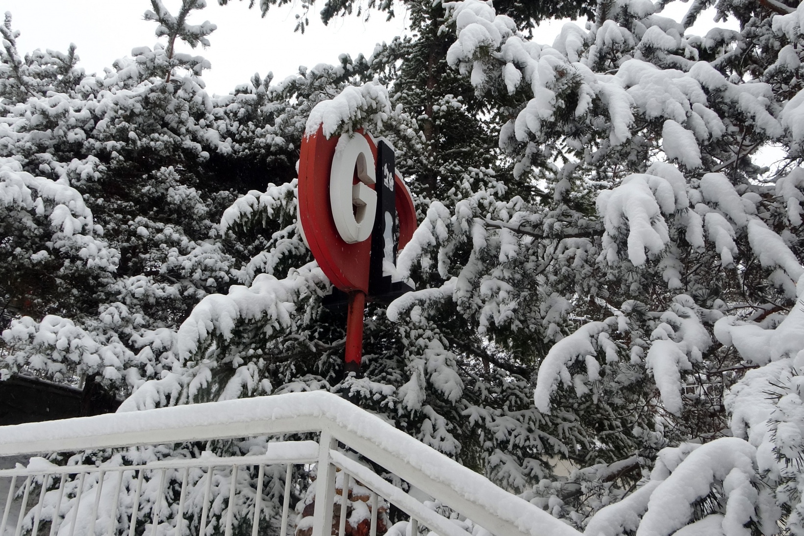 Gümüşhane’de yoğun kar yağışı etkili oldu 15