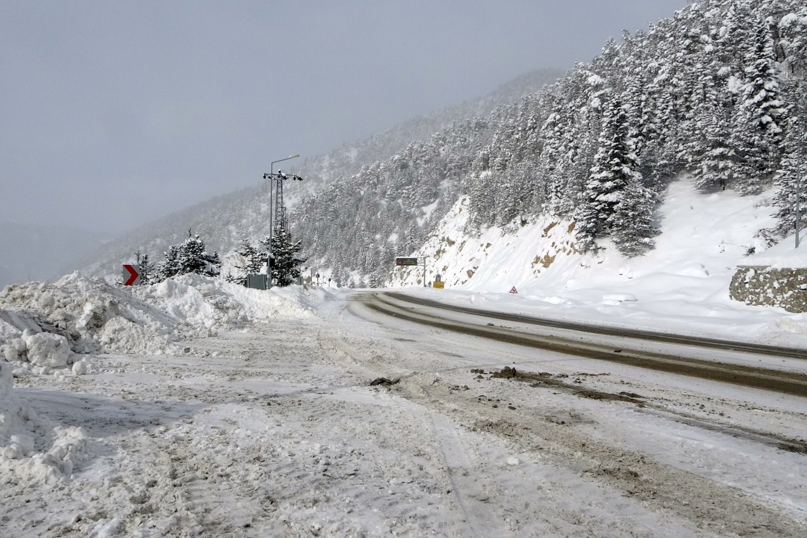 Zigana Dağının terk edilmiş köpekleri polis koruması altında 4