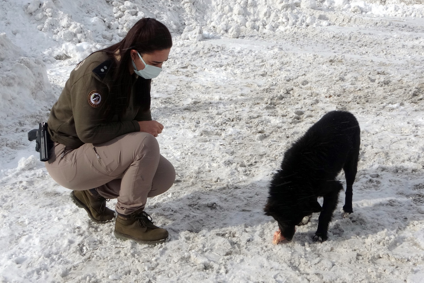 Zigana Dağının terk edilmiş köpekleri polis koruması altında 6