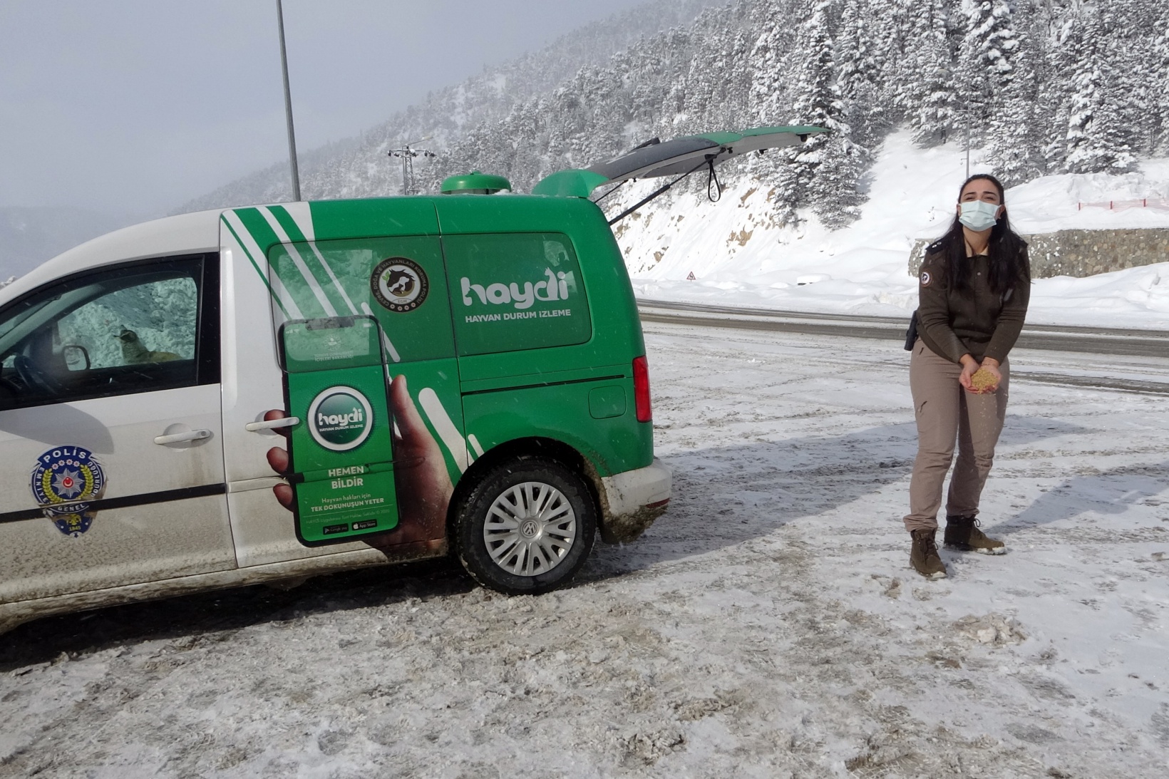 Zigana Dağının terk edilmiş köpekleri polis koruması altında 7