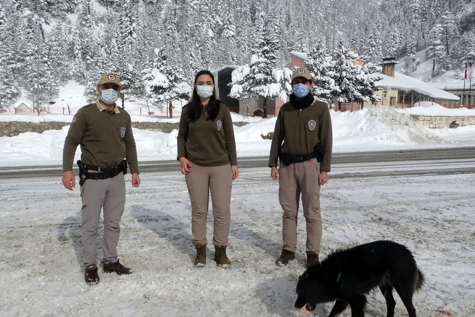 Zigana Dağının terk edilmiş köpekleri polis koruması altında 8