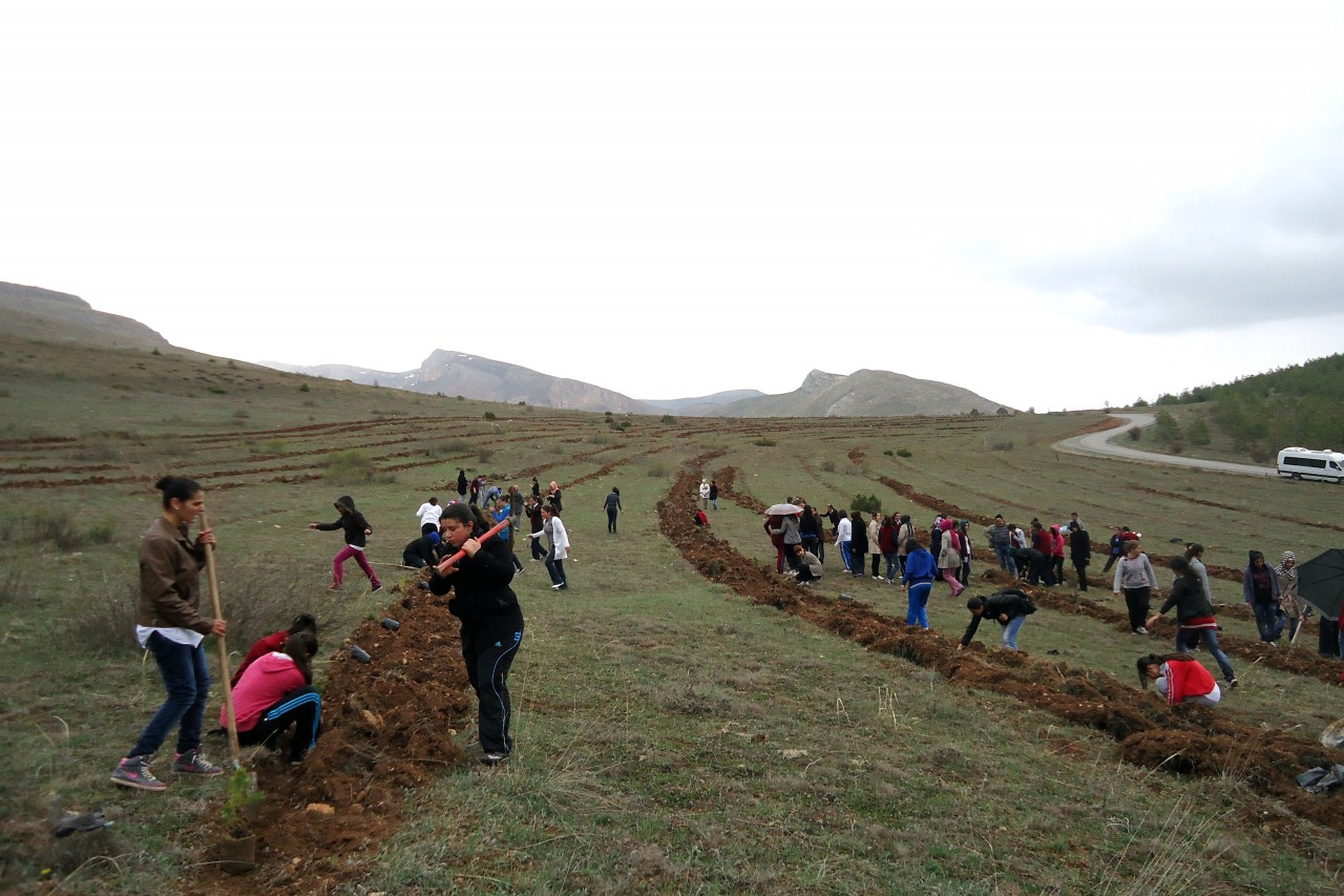 Kelkit Kız Teknik Ve Meslek Lisesi Hatıra Ormanı Oluşturdu 1