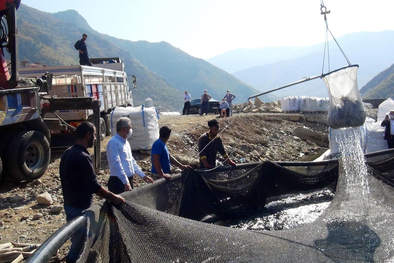 Gümüşhane’de alabalık ve somon hasadı başladı 3