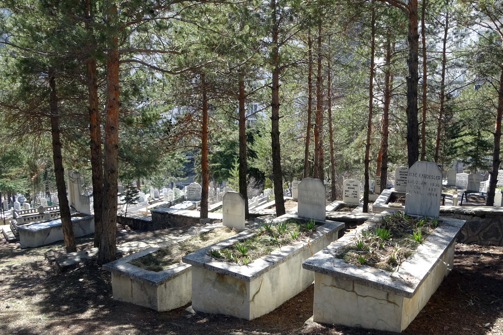 Gümüşhane'de 57 yıllık mezarlıkta kıble tartışması 12