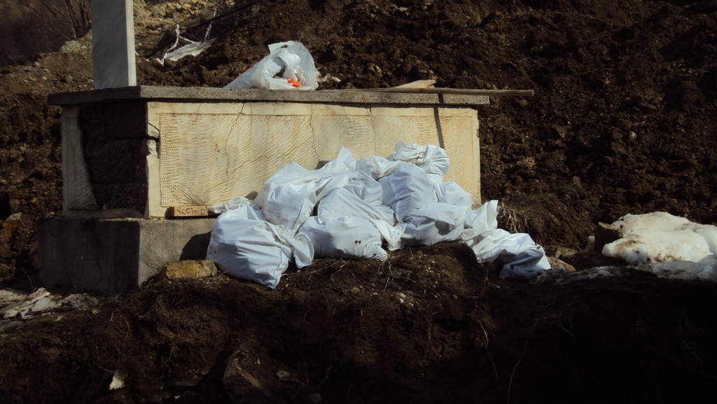 'Gümüşhane vahşi madenciliğe feda edilmeyecek kadar kıymetli' 8