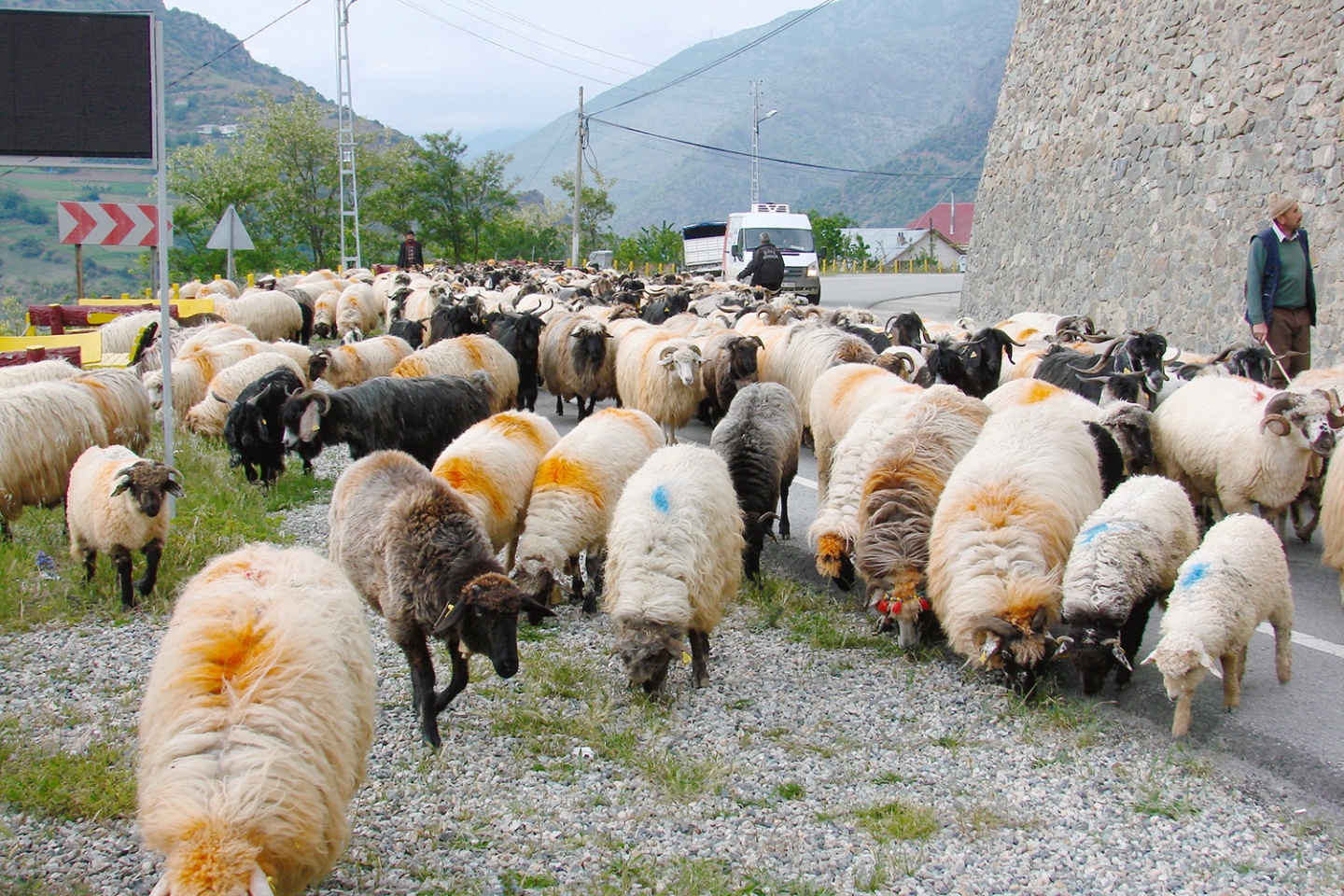 Asırlık göç başladı 6
