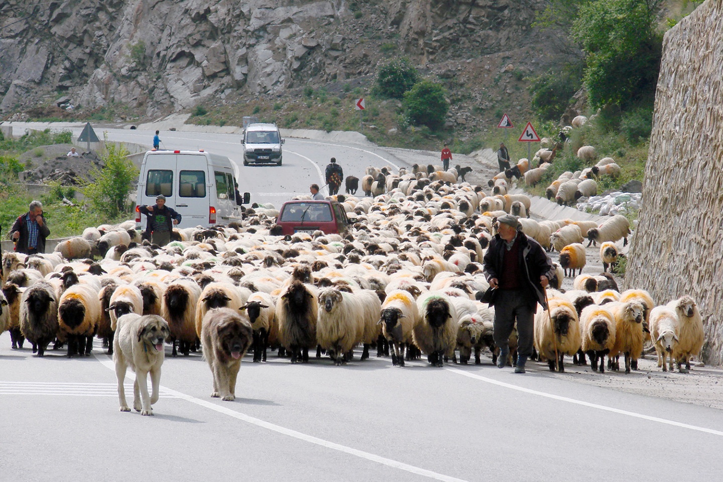 Asırlık göç başladı 4