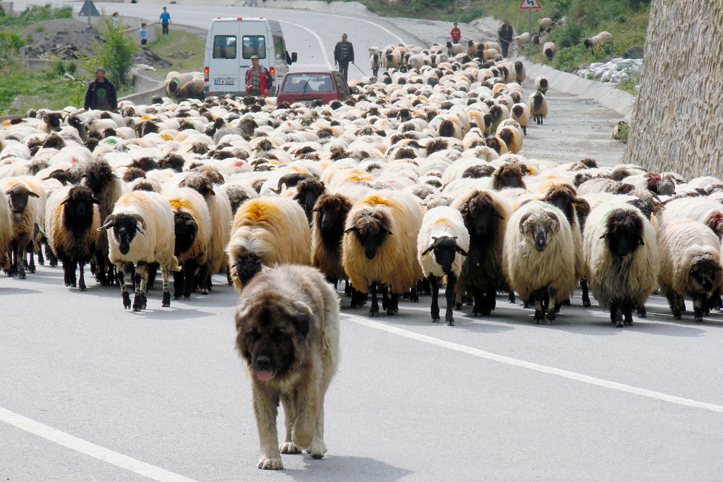 Asırlık göç başladı 9