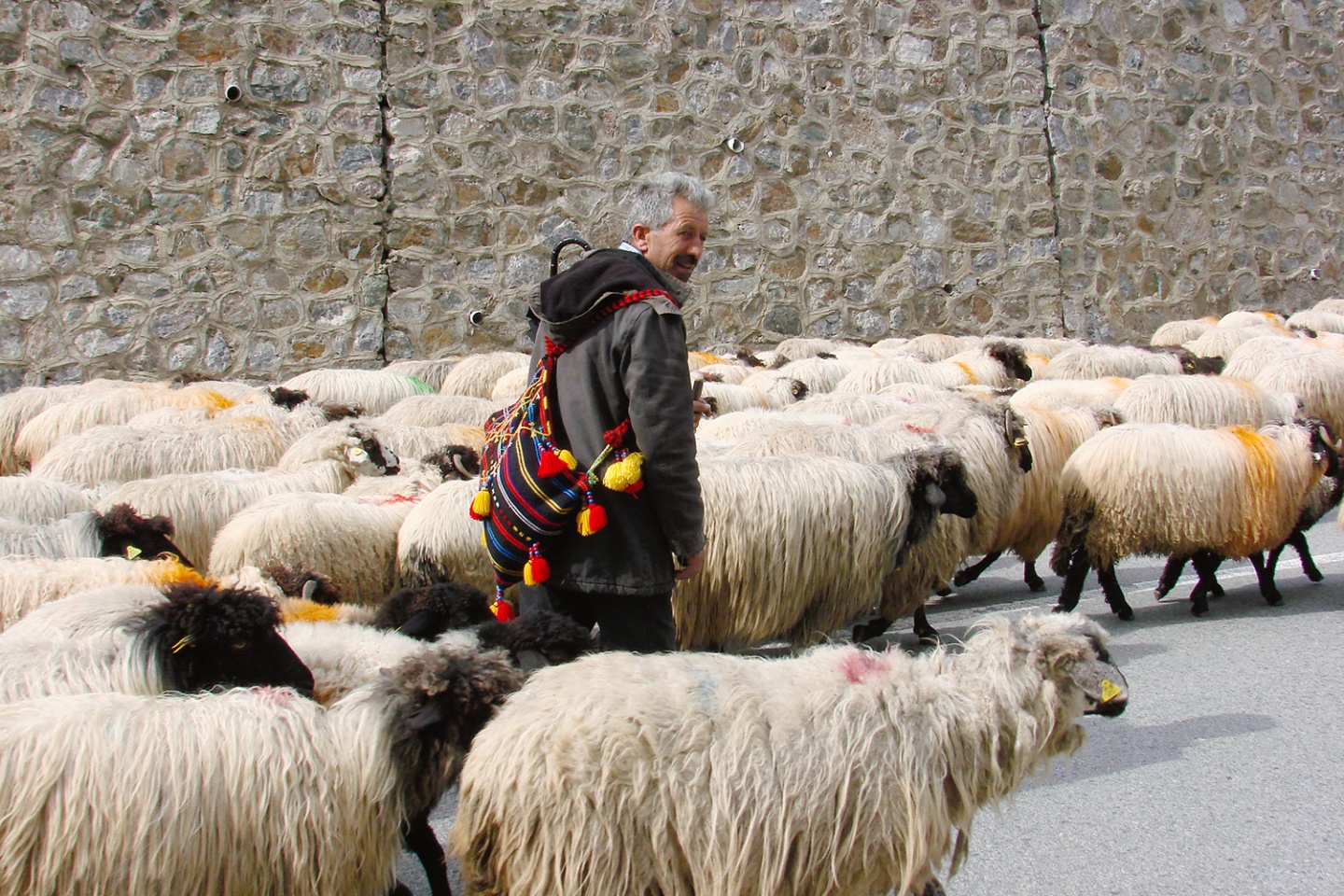 Asırlık göç başladı 8