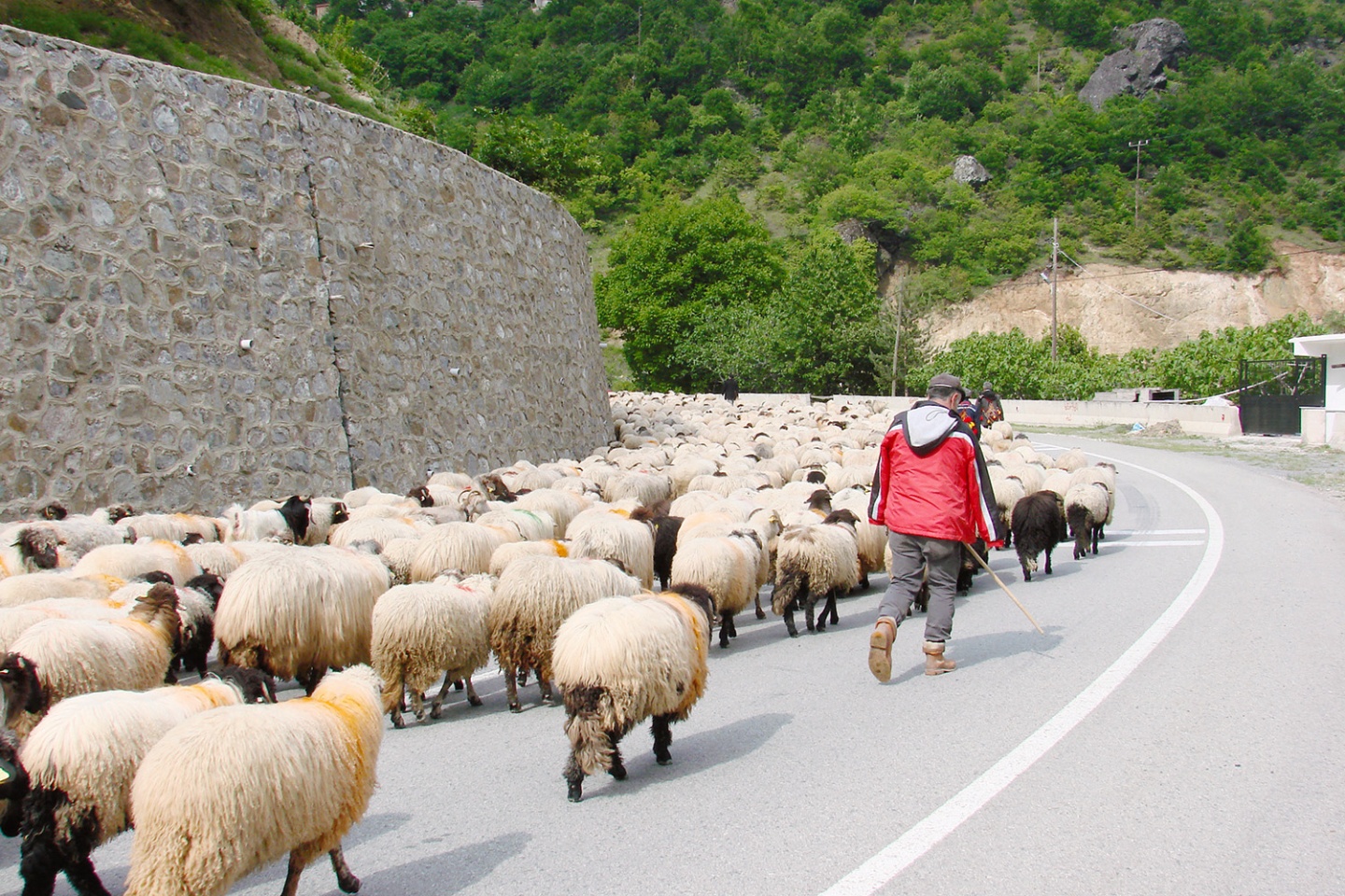Asırlık göç başladı 7