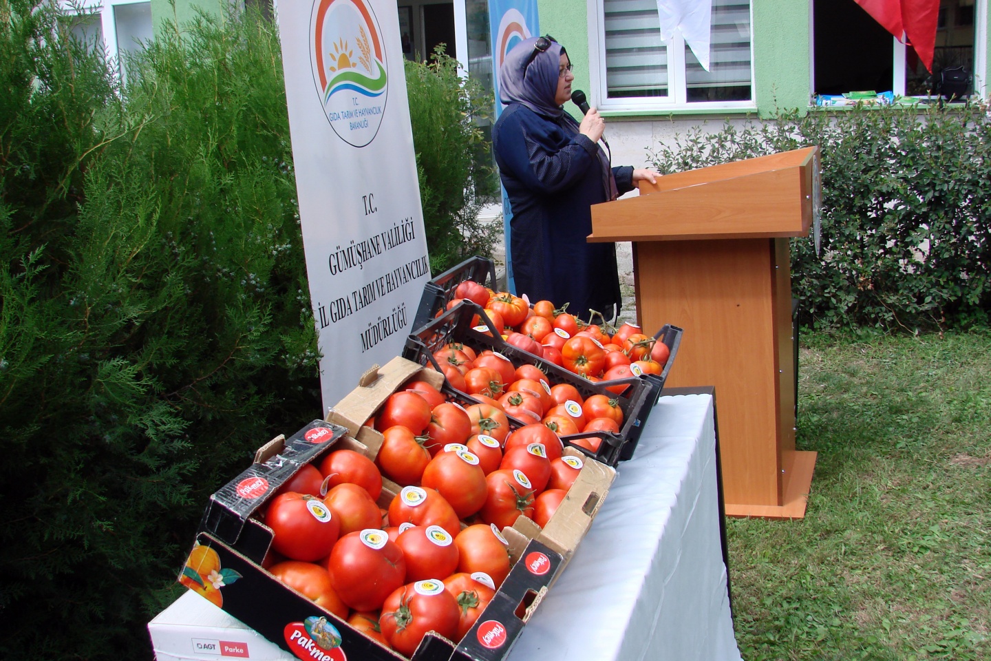 Gümüşhane’de yeni trend: Seracılık 16