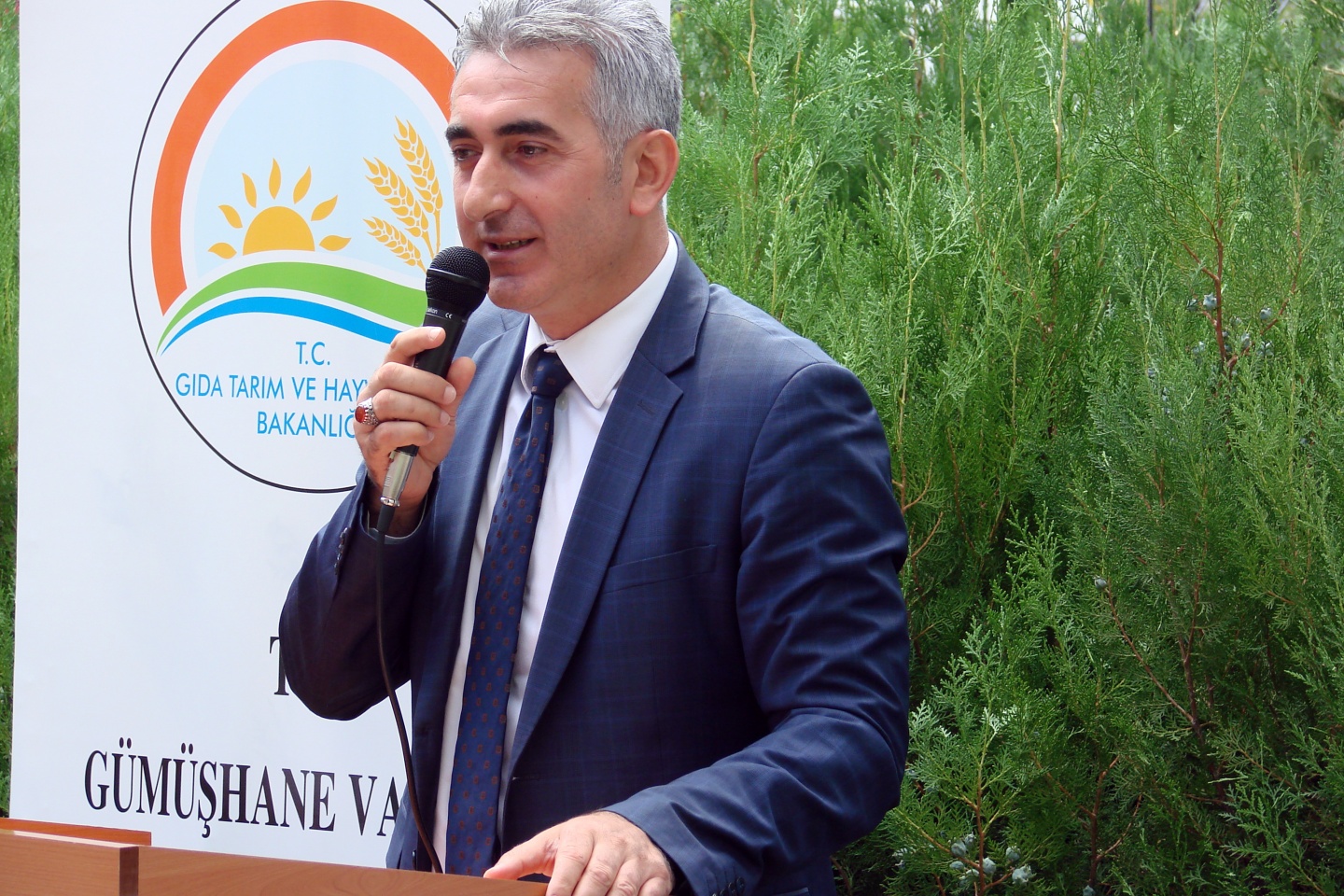 Gümüşhane’de yeni trend: Seracılık 15