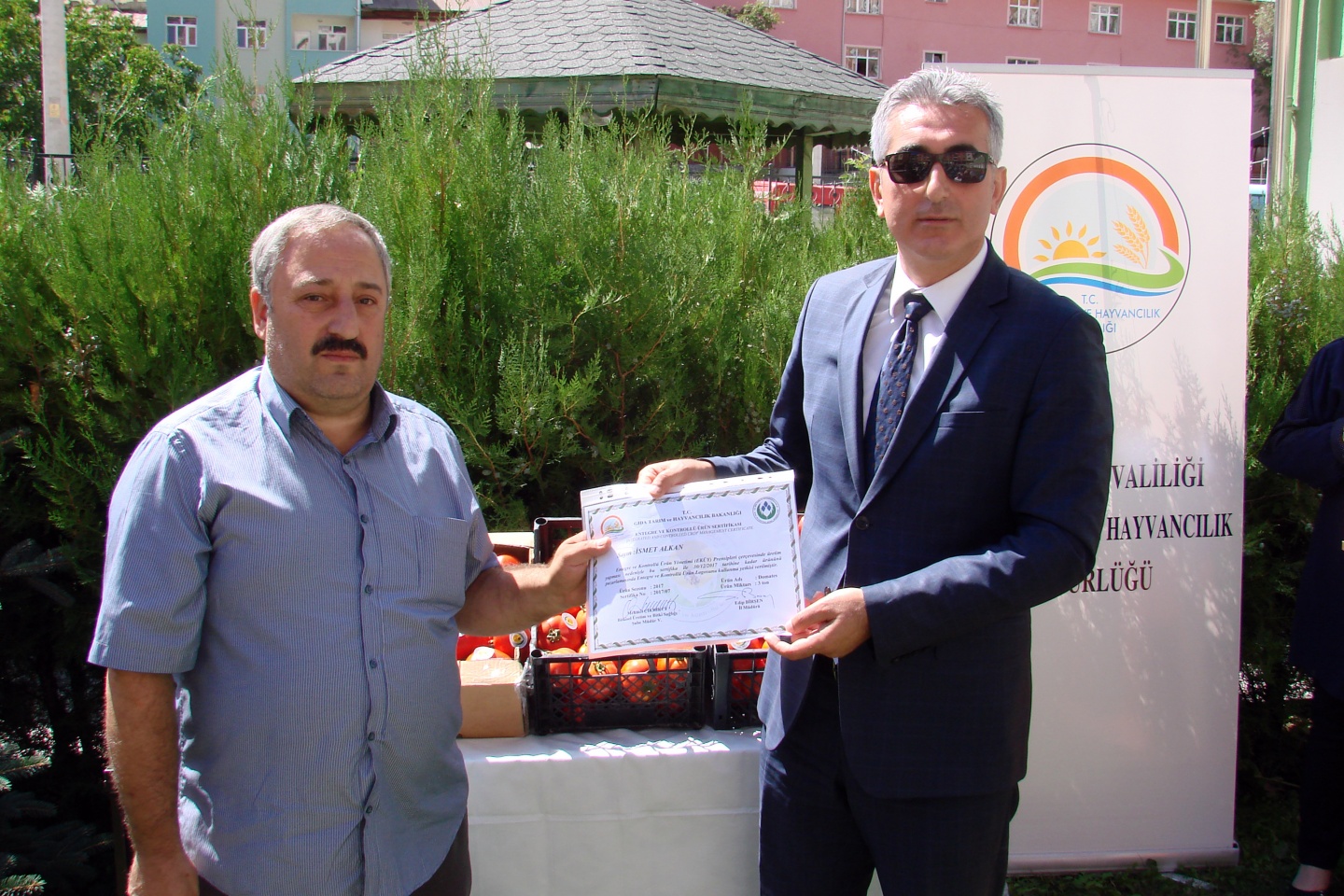 Gümüşhane’de yeni trend: Seracılık 17