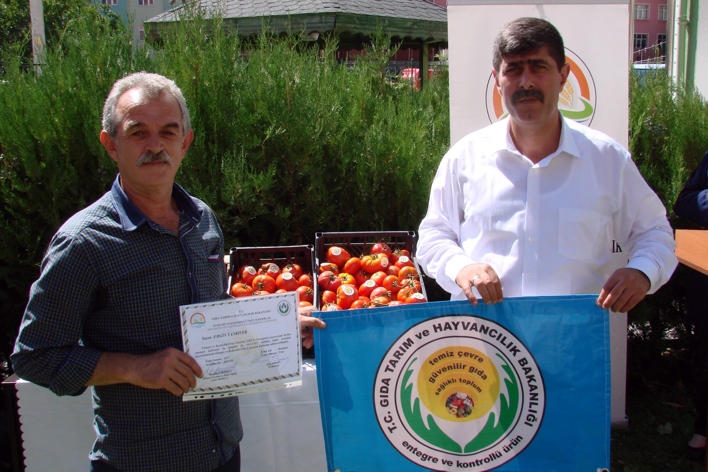 Gümüşhane’de yeni trend: Seracılık 21